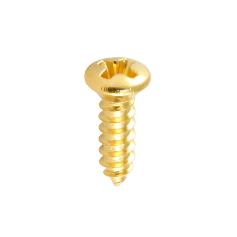 MMC Gold Scratchplate Screws Set of 4