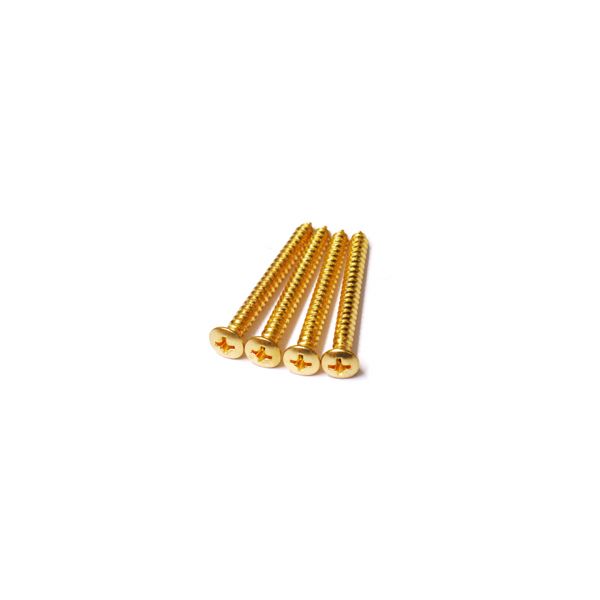 MMC Neck Plate Screws Gold Set of 4